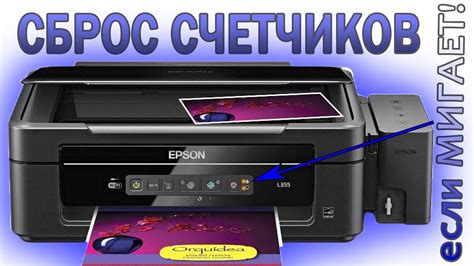 Перейдите на официальный сайт Epson и найдите раздел поддержки