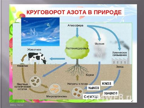 Перекись азота в манке