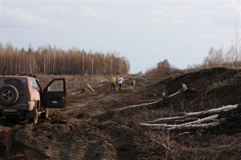 Перемены в среде обитания