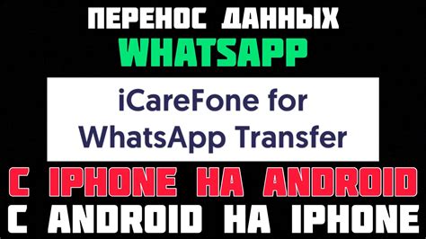 Перенос сообщений WhatsApp