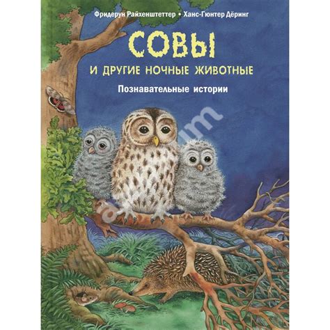 Переполненные истории совы в мультфильме