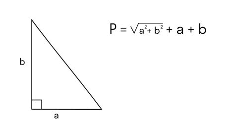 Периметр прямоугольного треугольника - базовые сведения