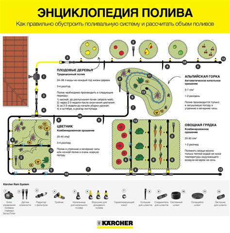 Периодичность полива