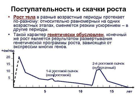 Периоды активного роста