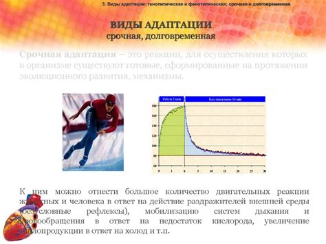 Период адаптации организма к брекетам