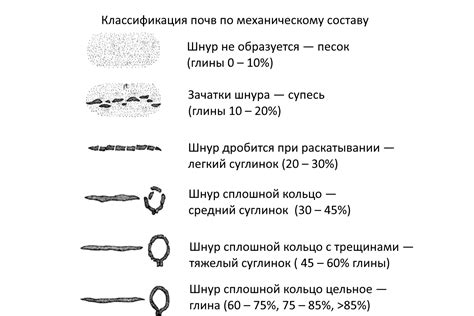 Перковское измерение: точный способ определения насыщенности почвы воздухом