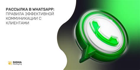 Персонализируйте свой профиль WhatsApp для эффективной коммуникации