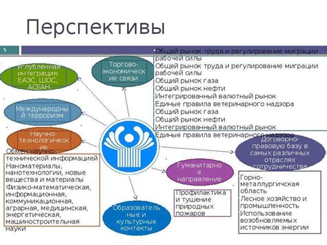 Перспективы дальнейшего развития ситуации