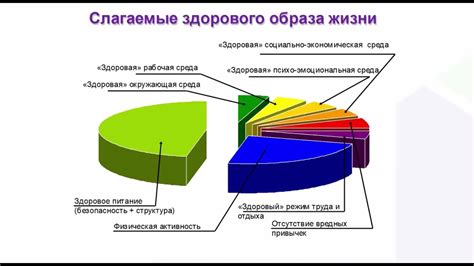 Печень и его функции: важность здорового образа жизни