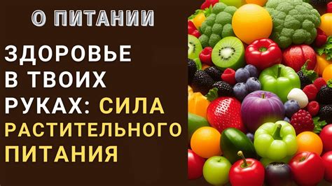 Питайтесь правильно: основные принципы здорового питания