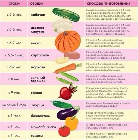 Питание для зрачков: продукты, которые стимулируют рост