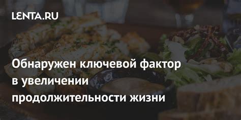 Питание и диета: ключевой фактор в увеличении размеров