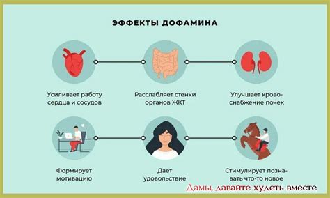 Питание и его связь с уровнем эстрогенов