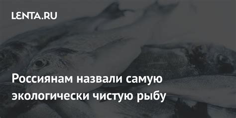 Питание и забота о птенцах