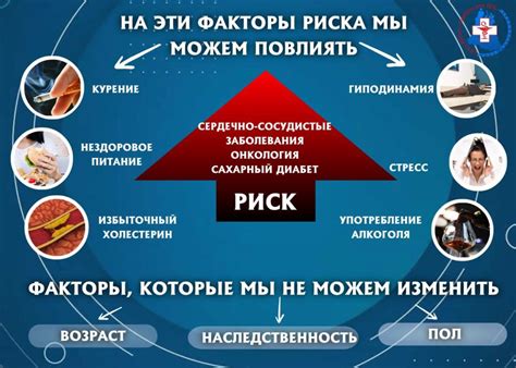 Питание и здоровый образ жизни - залог долголетия кошек