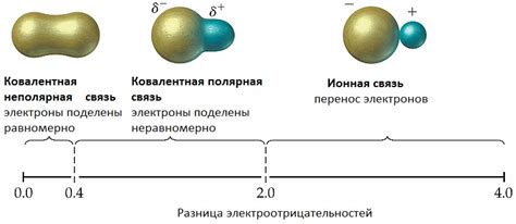 Питание и энергия: какая связь?