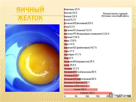 Питательность белка в яйце: важность для организма