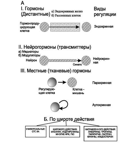 Питательные недостатки и ослабление рецепторов