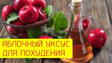 Пить яблочный уксус для похудения: