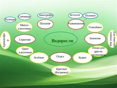 Пища для других организмов