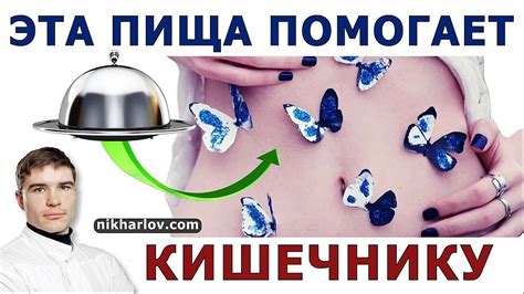 Пищевые продукты, восстанавливающие микрофлору