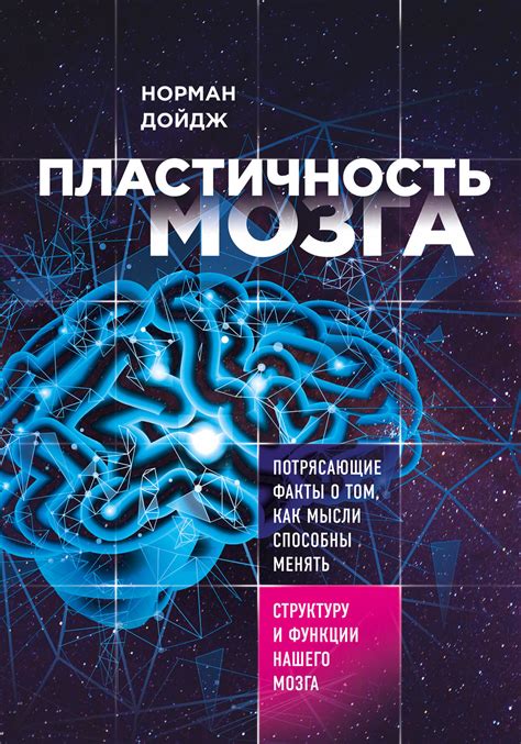 Пластичность мозга: способность к изменениям и обучению