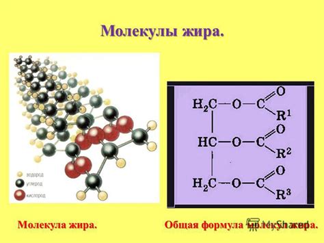 Плотность молекул жира