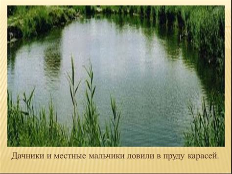 Плохая экология водоема