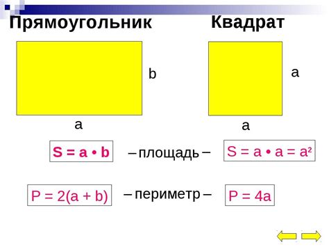 Площадь прямоугольника и квадрата