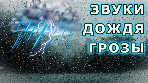 Плюсы дождя для природы и человека