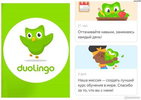 Плюсы и минусы использования Duolingo в поиске квартиры