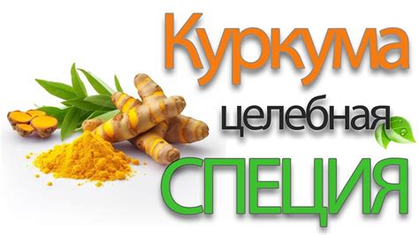 Побочные эффекты и противопоказания куркумы