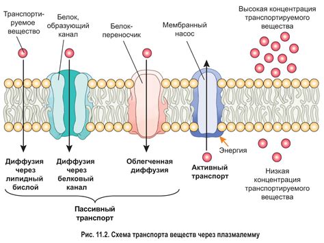 Поверхностный слой в септике: способы предотвращения