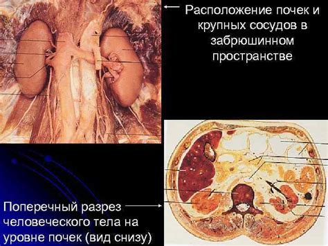 Повреждение органов и систем