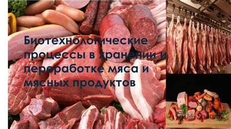 Повреждение при переработке и хранении продуктов