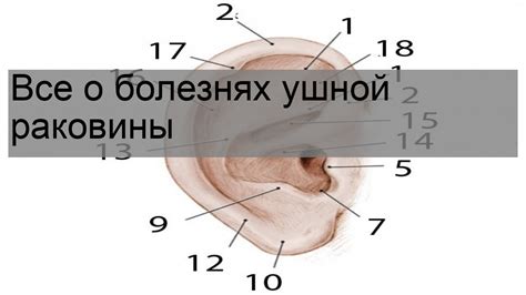 Повреждение ушной раковины