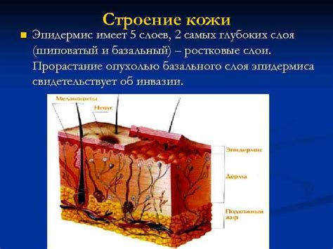 Повреждения глубоких слоев кожи