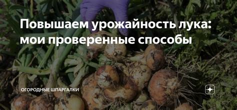 Повышаем эффективность Маруси: проверенные способы