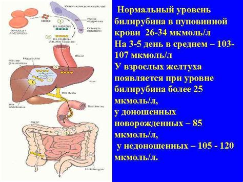 Повышение билирубина: причины и последствия