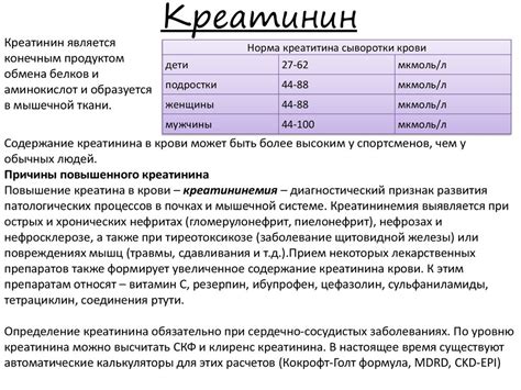 Повышение креатинина в крови у женщин после 50: причины и последствия