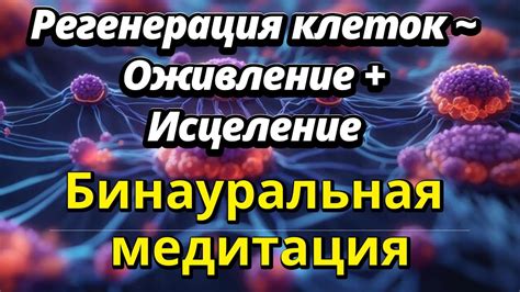 Повышение общего тонуса и укрепление иммунной системы