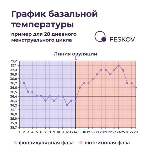 Повышение температуры после зачатия