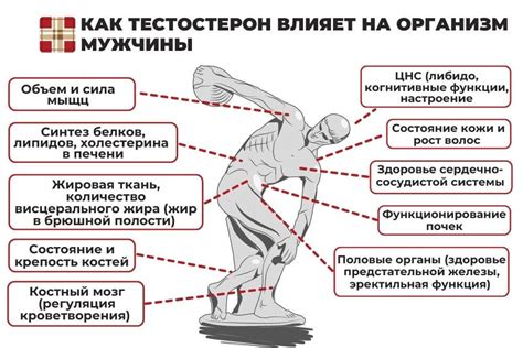 Повышение уровня лейтикопенического гормона у мужчин: методы и преимущества