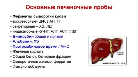 Повышение уровня печеночных проб в крови: возможные причины