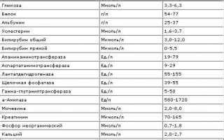 Повышение фосфора в крови