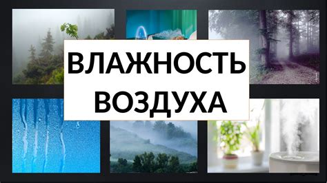 Повышенная влажность в рабочем помещении