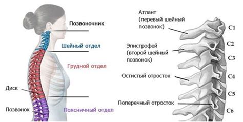 Повышенное усилие на шейный отдел позвоночника