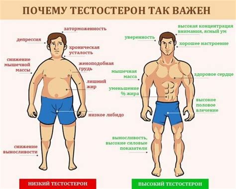 Повышенный уровень тестостерона