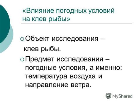 Погодные условия и их влияние на клев