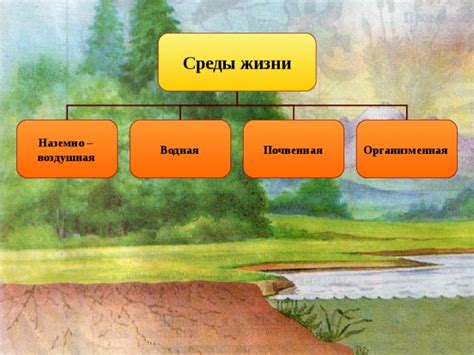 Погодные условия и среда обитания